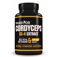 Cordyceps 100 kaps