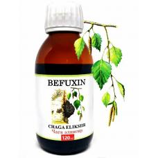 Befuxin extrakt z čagy 120ml
